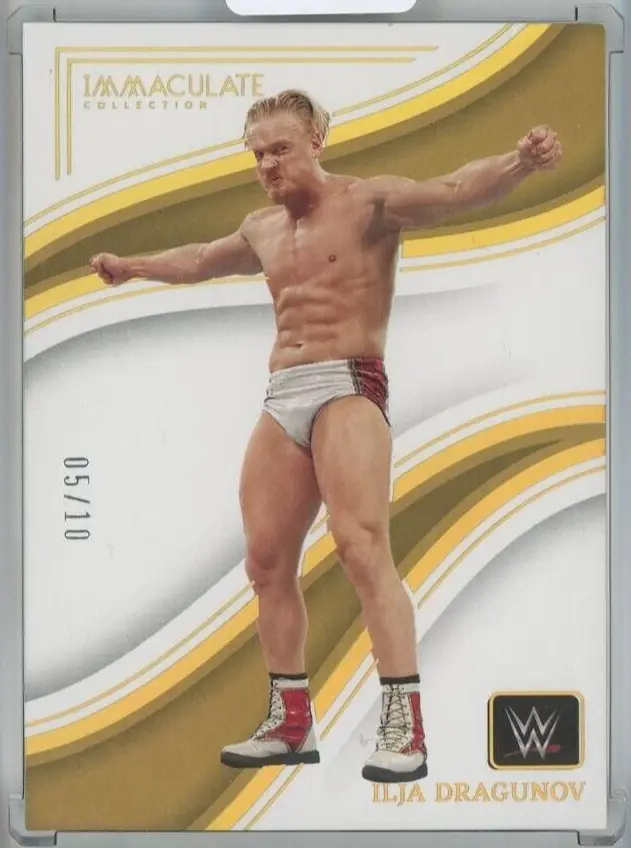 The Rise of Ilja Dragunov in Professional Wrestling image 1