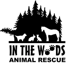Discovering In the Woods Animal Rescue image 1