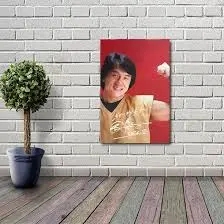 The Life and Legacy of Jackie Chan image 1