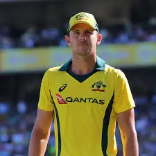 The Rise and Impact of Josh Hazlewood in Cricket image 1