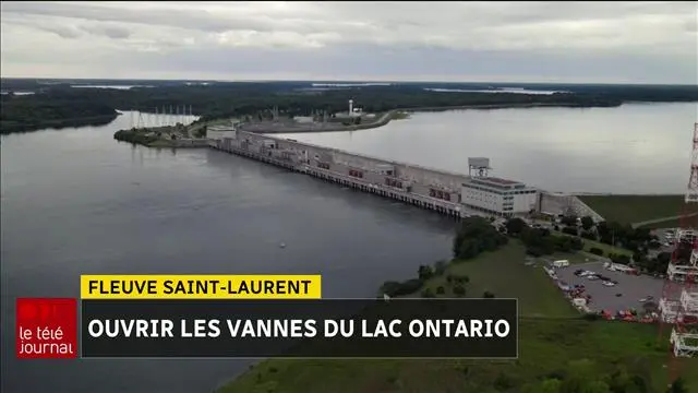 Lac Ontario et le Fleuve Saint-Laurent : Écosystème Vital et Route Commerciale