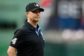 The Role of M Wegner as an Umpire in Modern Sports image 1