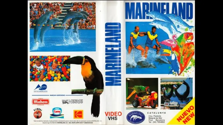 Discover Marineland: Canada’s Premier Marine Park