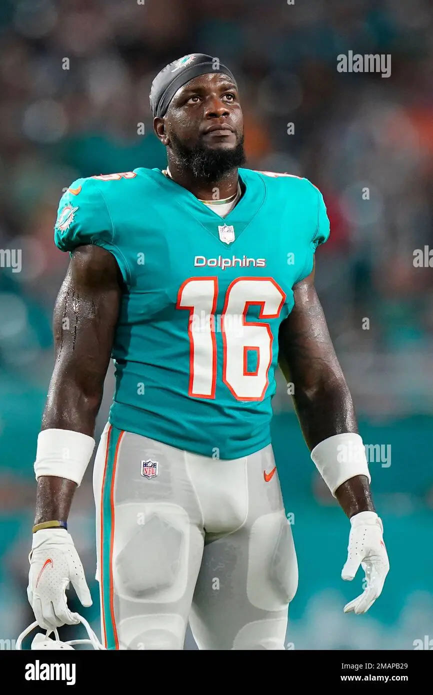 An Overview of the Miami Dolphins: Recent Trends and History