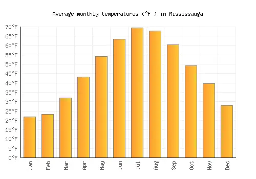 Latest Weather Insights for Mississauga image 1