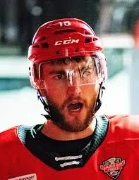 Nicolas Roy: A Breakout Season in the NHL