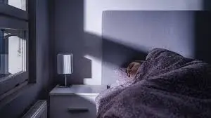 L’impact de l’exposition à la lumière nocturne sur la santé