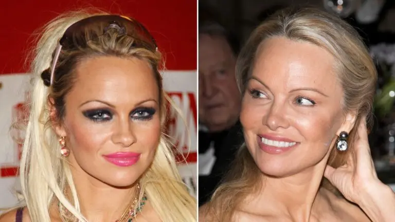 The Life and Legacy of Pamela Anderson image 1