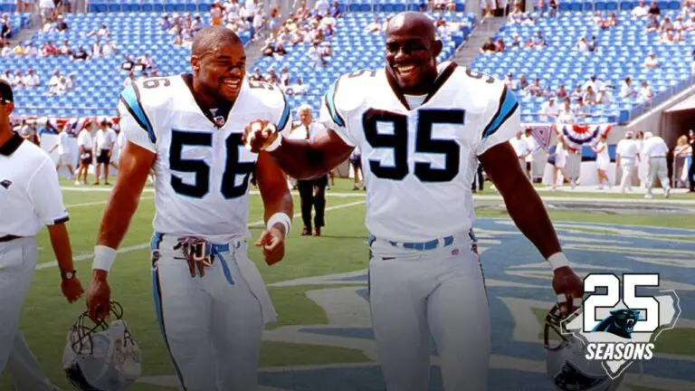 The Importance of Panthers in Sports and Culture image 1