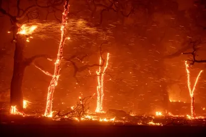 The Paradise California Fire: Lessons Learned and Recovery Efforts