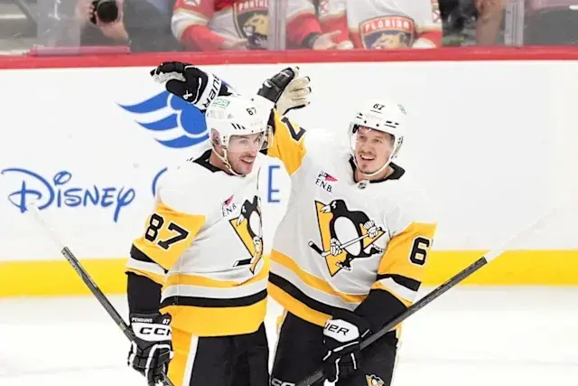 Penguins vs Panthers: A Closer Look at Two Unique Species