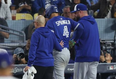Springer Injury: Causes, Prevention, and Recovery Strategies