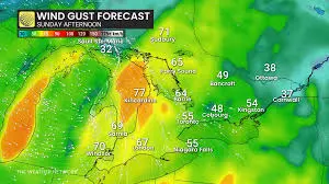 Understanding The Weather Network and Its Importance image 1