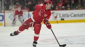 Tyler Bertuzzi: Key Player’s Impact in NHL
