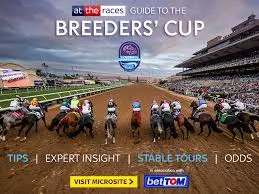 What to Expect at Breeders Cup 2025 image 1