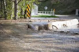 Current Events in Kamloops: News and Updates
