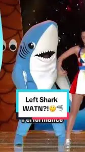 The Rise of Left Shark: How a Super Bowl Moments Became an Icon