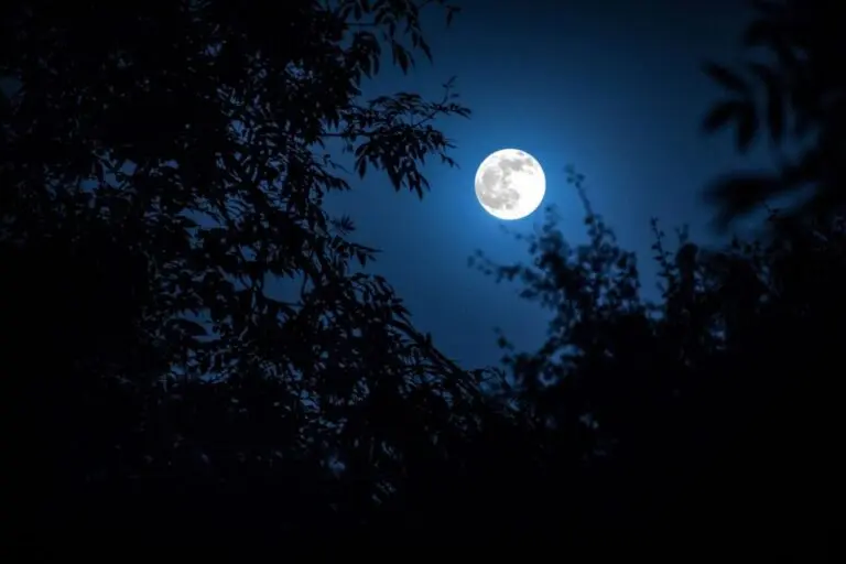 La Pleine Lune Super Lune : Un Événement Astronomique à Ne Pas Manquer