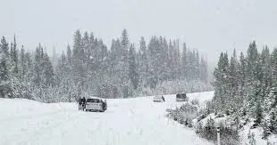Alerte de neige : Que signifie-t-elle et pourquoi est-ce important ?