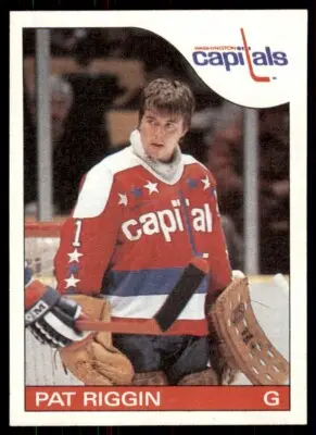 Washington Capitals: An Update on Their NHL Journey