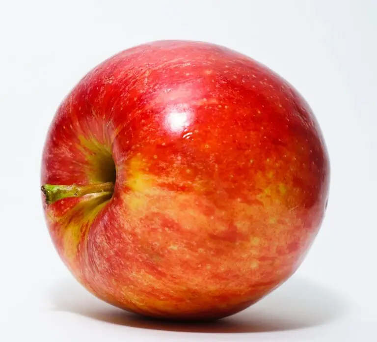 Exploring the New Features of Apple iOS 26.2 image 1