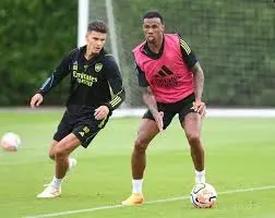 Arsenal FC: A Look at Recent Developments and Future Prospects