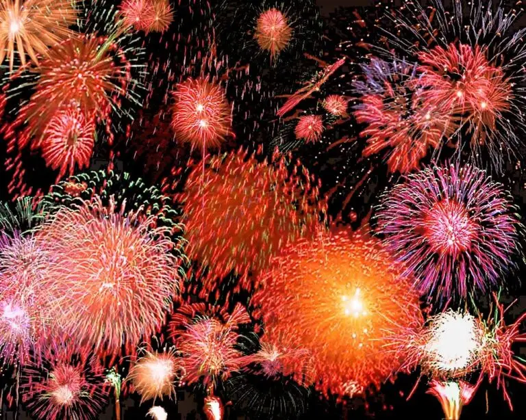 The Excitement Surrounding Celebration 2026 image 1