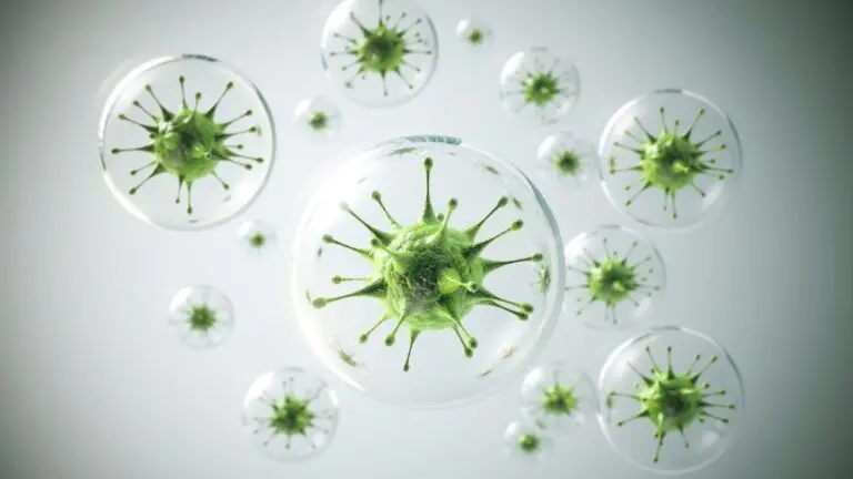 Current H3N2 Flu Outbreak in Canada: What You Need to Know