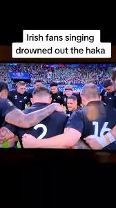 The Intense Rivalry: Ireland vs New Zealand in Rugby