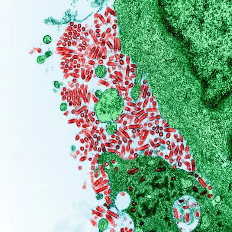 Understanding Rabies: A Persistent Threat to Public Health