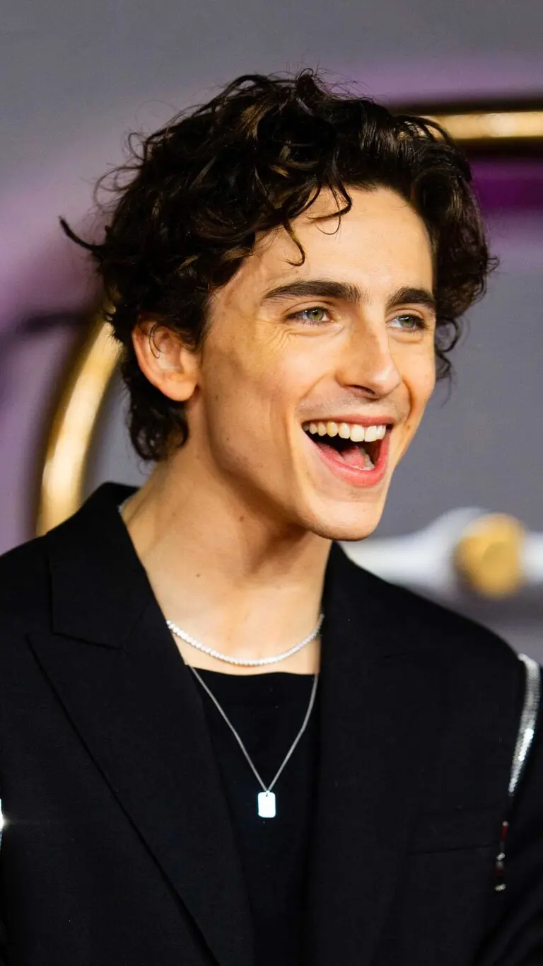The Rise of Timothée Chalamet in Hollywood’s Spotlight