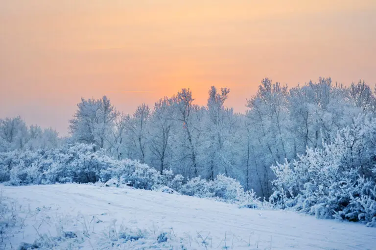 Everything You Need to Know About the Winter Olympics 2026 image 1