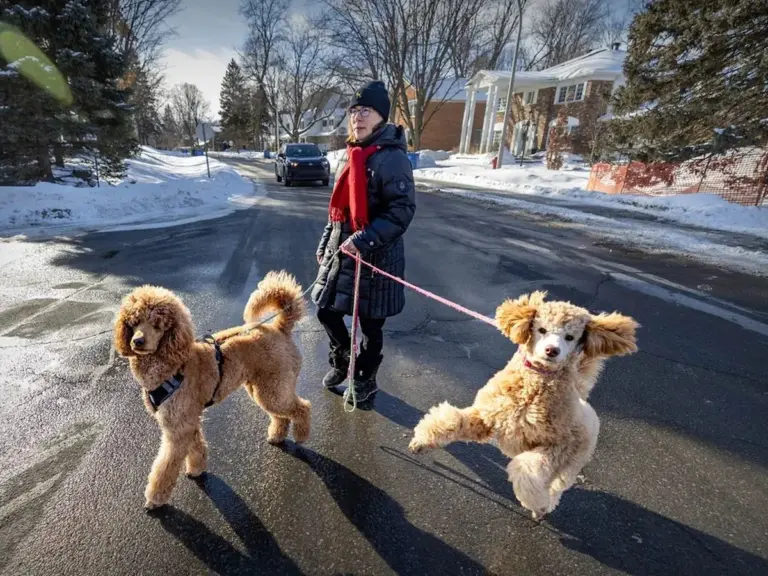 montreal weather — CA news
