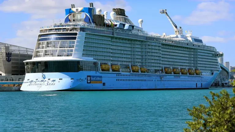carnival cruise line — CA news