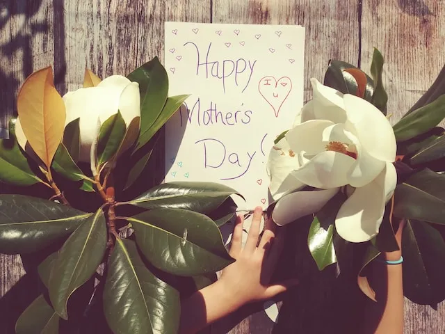 mothers day 2026 uk — CA news