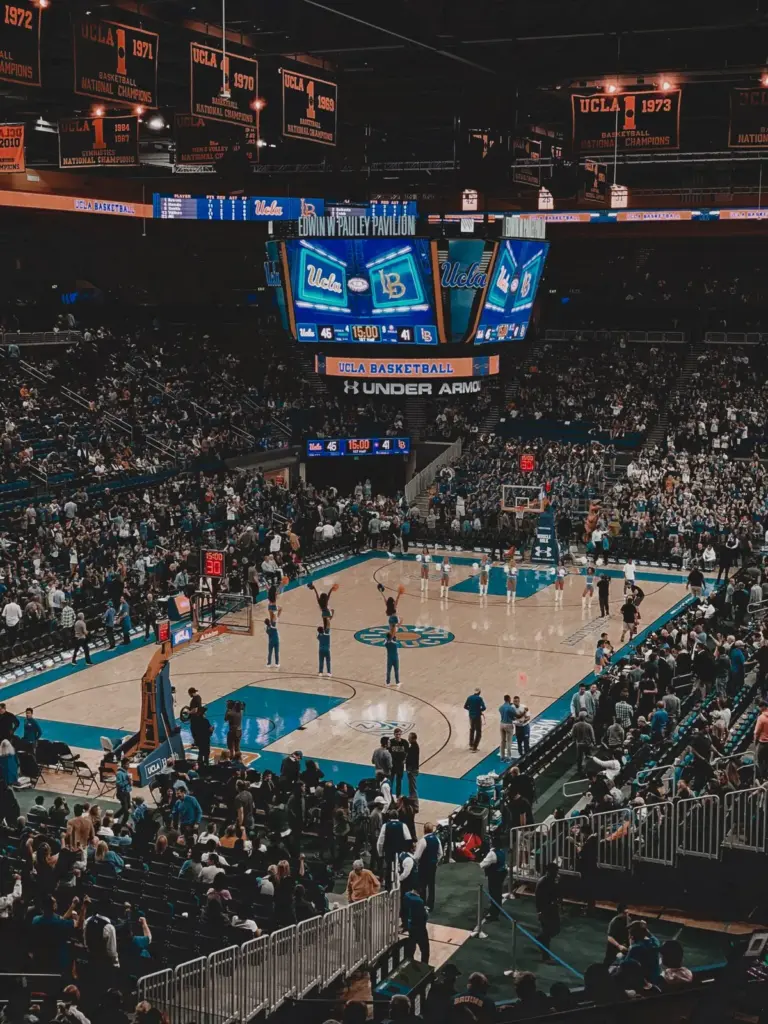 ncaa basketball — CA news