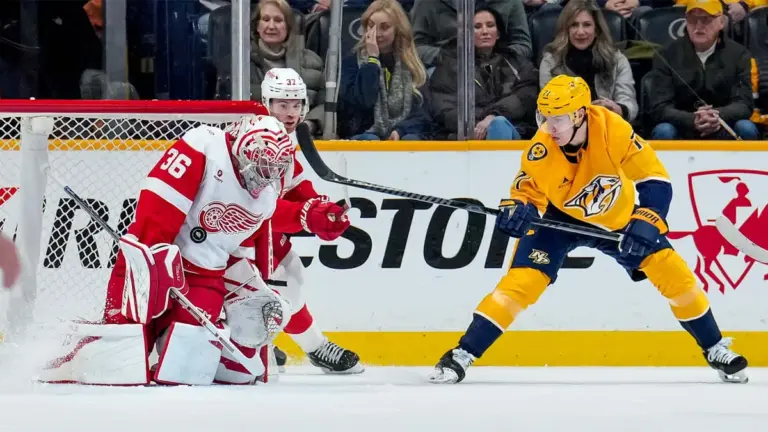 red wings — CA news