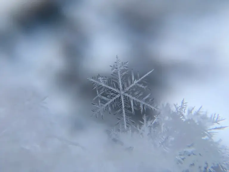 snowfall warning calgary — CA news