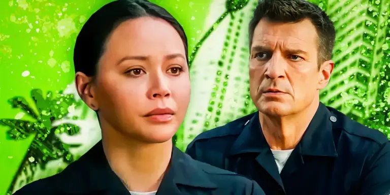 the rookie — CA news