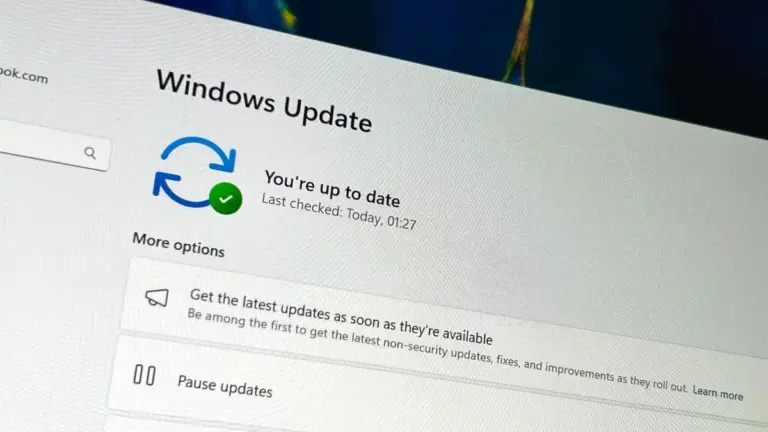 windows 11 bug — CA news