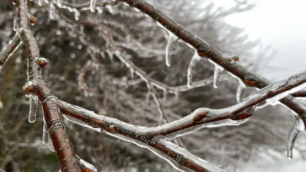 yellow warning - freezing rain — CA news