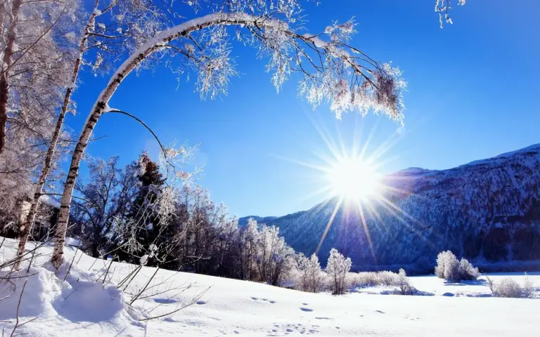 snow — CA news