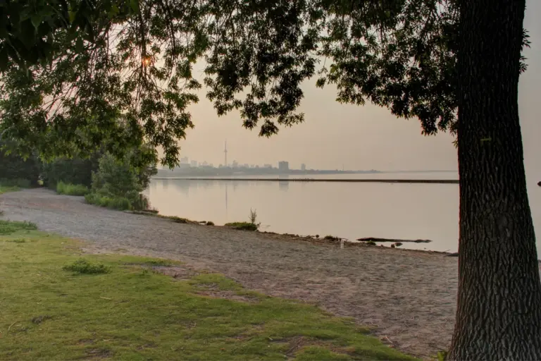 the neighbourhood toronto — CA news