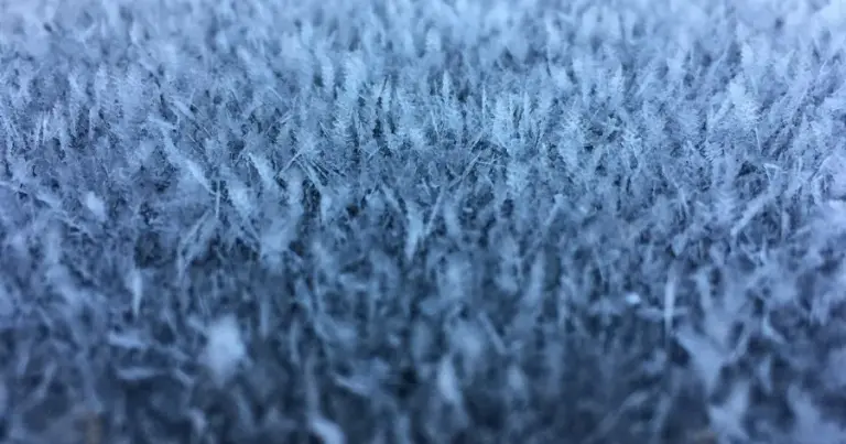 yellow advisory - frost — CA news