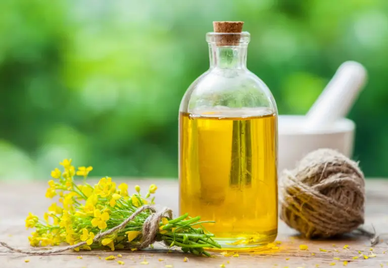 Is Canola Oil Bad for You? Evidence and Cooking Facts