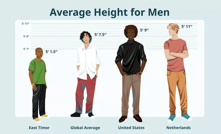 Average height for men Canada: what national data can show